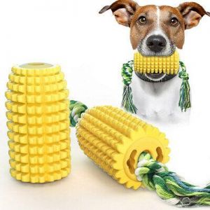Fashion Luxury Shop Pets Pet Dog Puzzle Toys Tough-Treat Tooth Cleaning Interactive Puppy Play Chew Toy